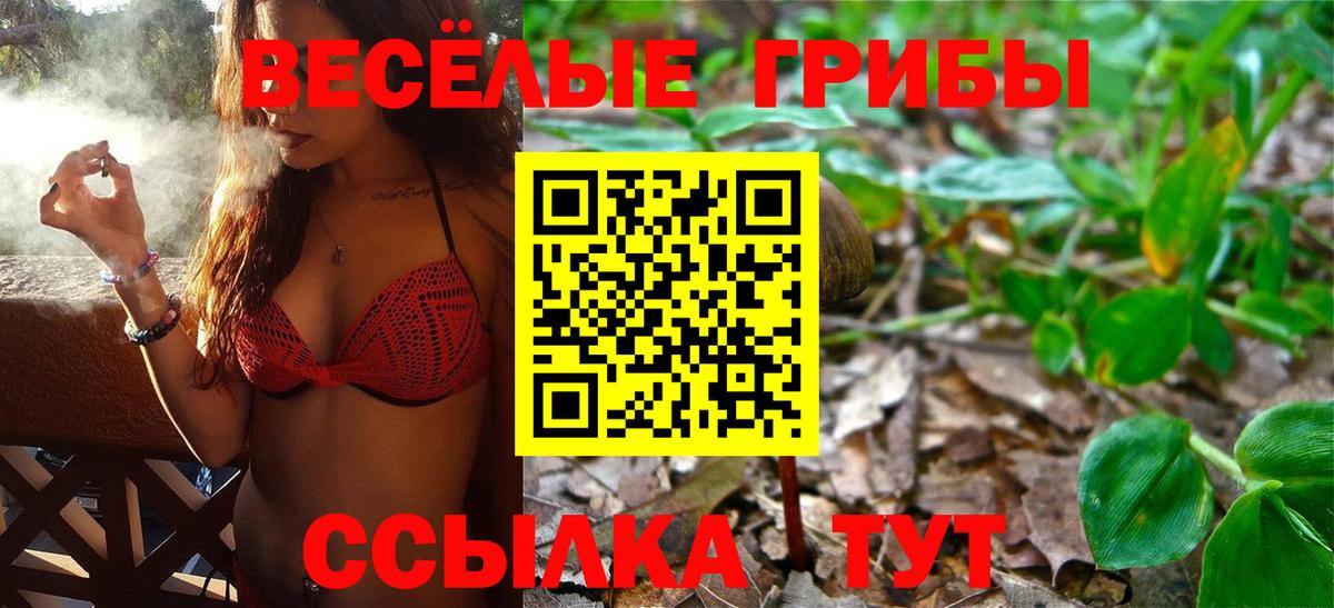 наркотики  Псилоцибиновые грибы Magic Shrooms  Вход с VPN  Юрга 